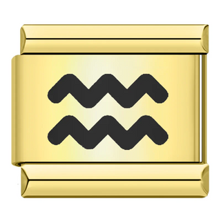 CHARM SIGNO ACUARIO ORO