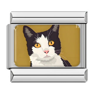CHARM GATO NEGRO CON BLANCO