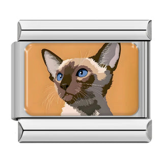 CHARM GATO