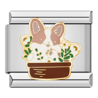 CHARM PERRITO