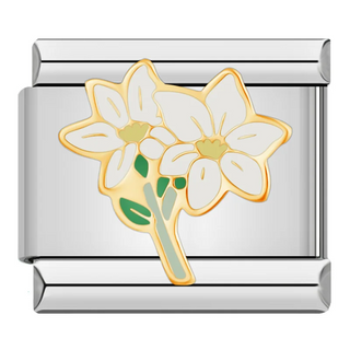 CHARM NARCISOS BLANCOS
