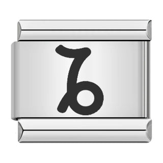 CHARM SIGNO CAPRICORNIO