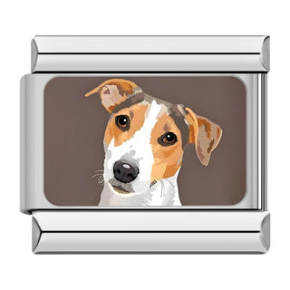 CHARM PERRO RUSSEL TERRIER