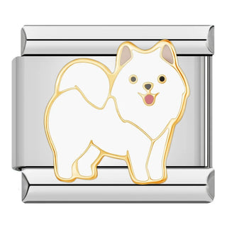 CHARM PERRO POMERANIA