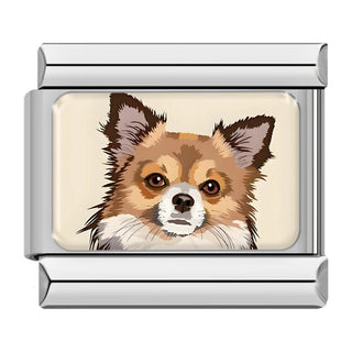 CHARM PERRO CHIHUAHUA