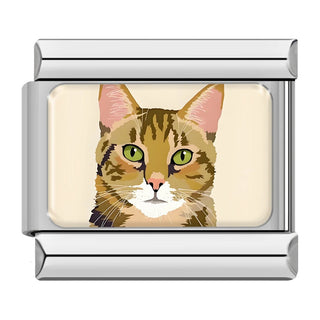 CHARM GATO