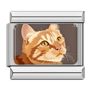 CHARM GATO NARANJA