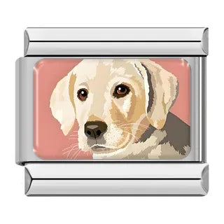 CHARM PERRO LABRADOR